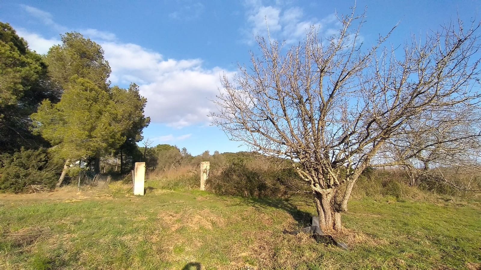 8 soveværelse Finca/Landehus til salg i Palamos med swimmingpool garage - € 1.300.000 (Ref: 8258314)