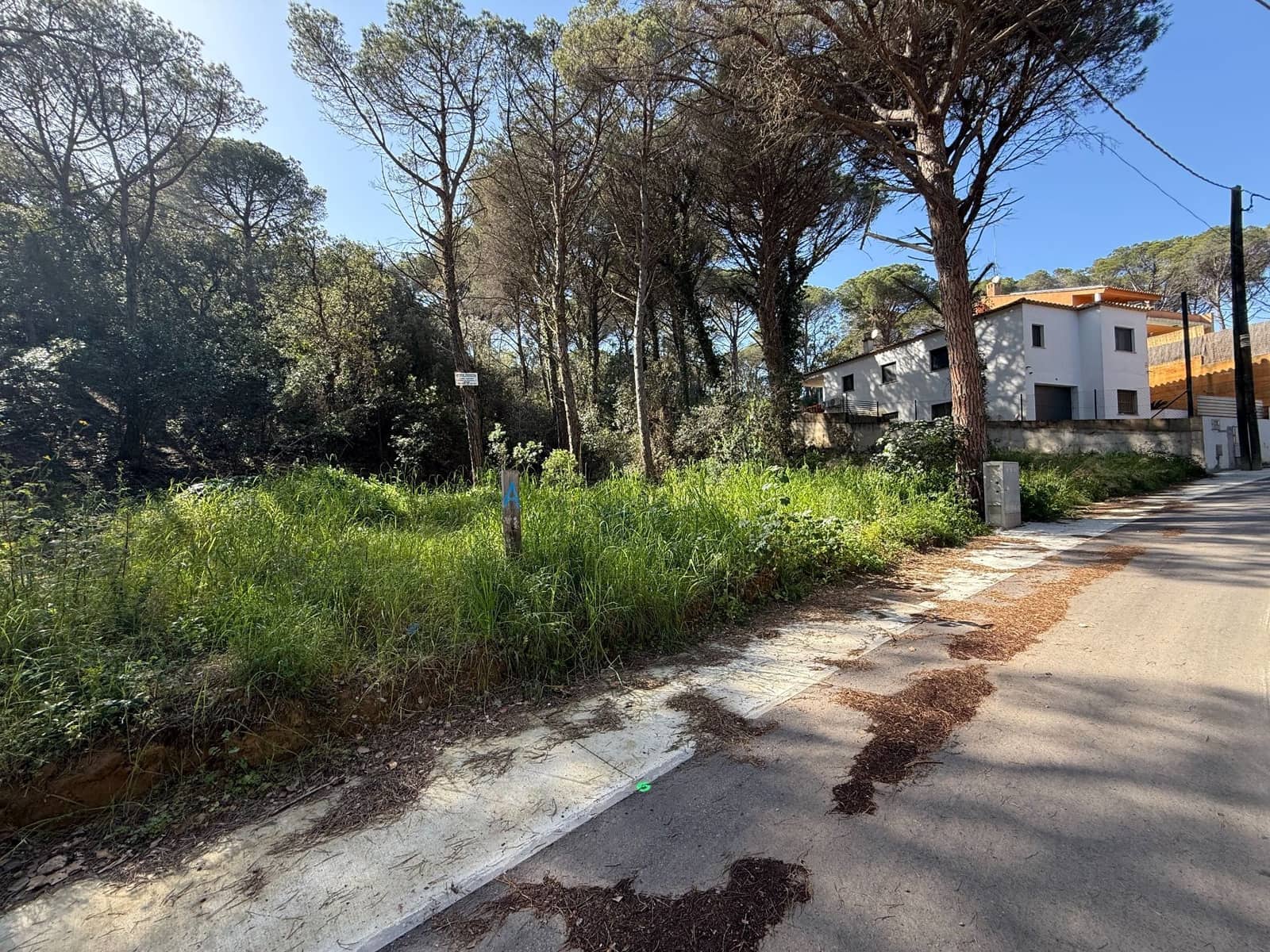 Grunde uden byggetilladelser til salg i Calonge i Sant Antoni - € 75.000 (Ref: 8862382)