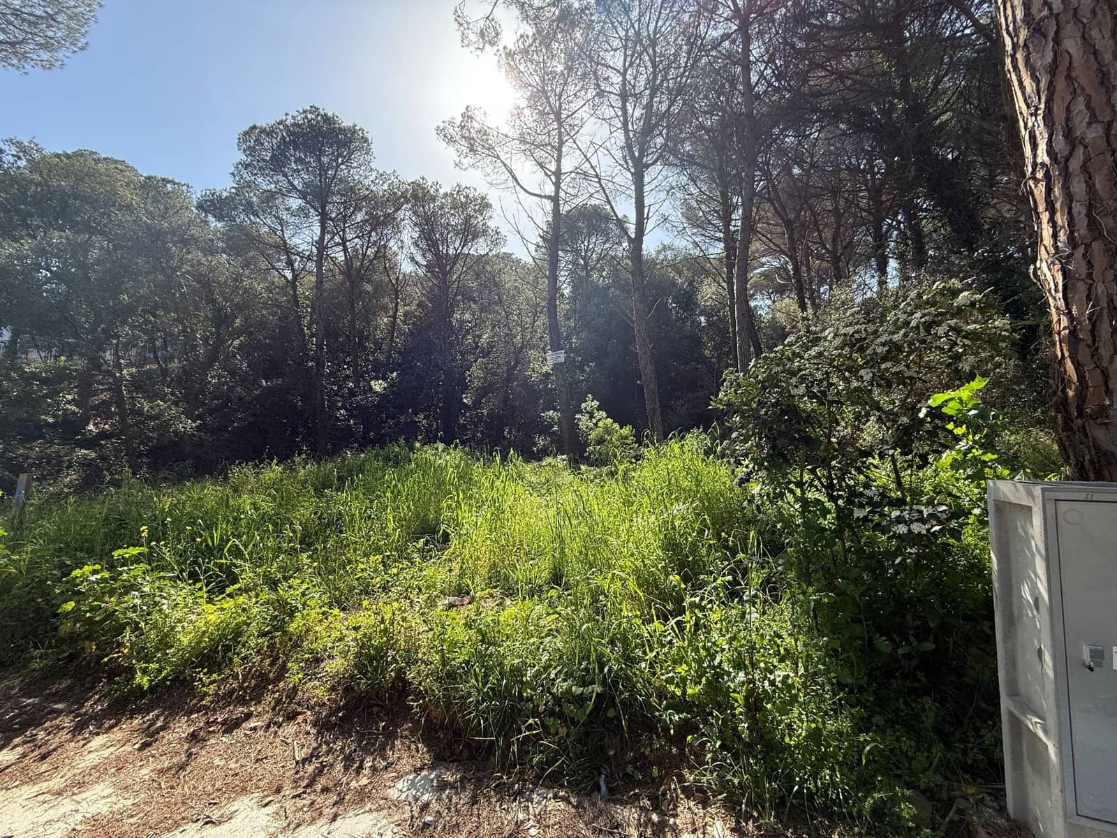 Grunde uden byggetilladelser til salg i Calonge i Sant Antoni - € 75.000 (Ref: 8862382)