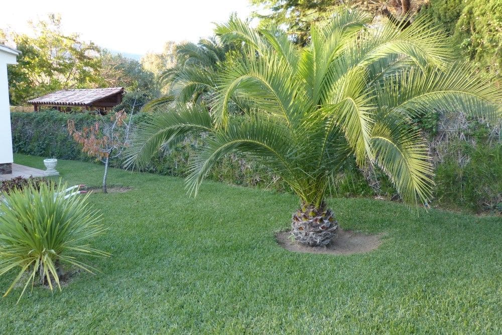 5 Zimmer Villa zu verkaufen in Calonge i Sant Antoni mit Pool Garage - 1.050.000 € (Ref: 9719505)