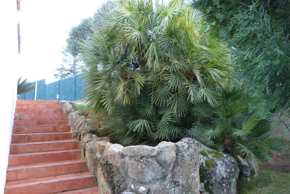 5 Zimmer Villa zu verkaufen in Calonge i Sant Antoni mit Pool Garage - 1.050.000 € (Ref: 9719505)