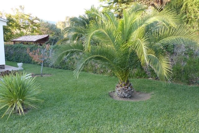 5 quarto Moradia para venda em Calonge i Sant Antoni com piscina garagem - 1 050 000 € (Ref: 9719505)