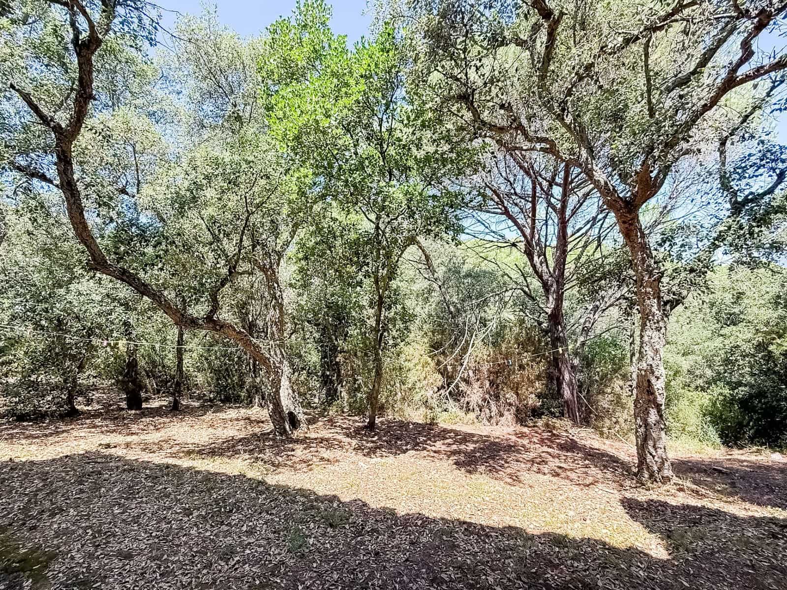 Chalet de 6 habitaciones en Sant Antoni de Calonge en venta - 435.000 € (Ref: 9787978)