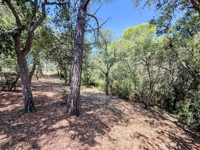 Chalet de 6 habitaciones en Sant Antoni de Calonge, Calonge i Sant Antoni en venta - 435.000 € (Ref: 9787978)