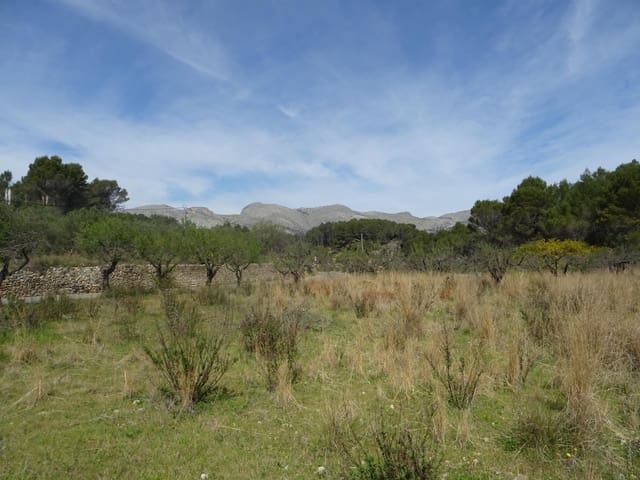Solar/Parcela en Murla en venta - 100.000 € (Ref: 10157896)
