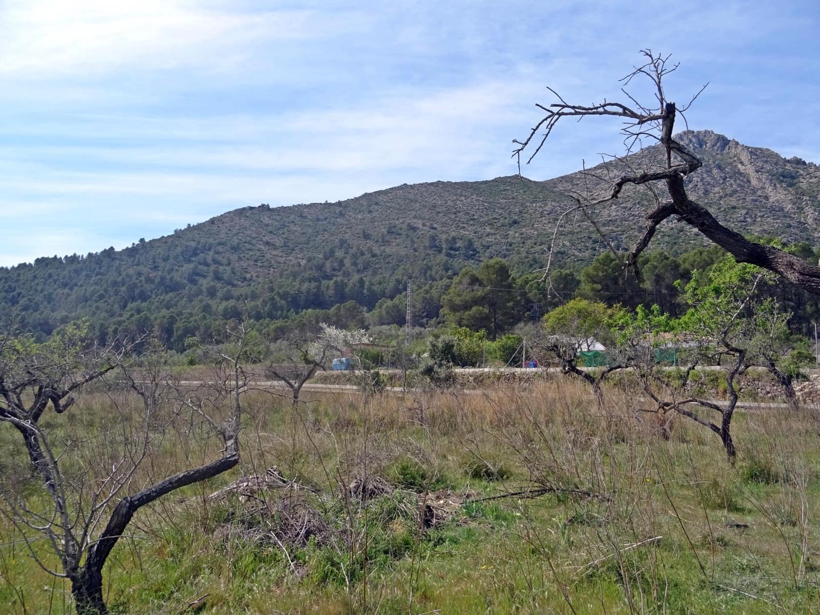 Area Edificabile in vendita in Murla - 100.000 € (Rif: 10157896)