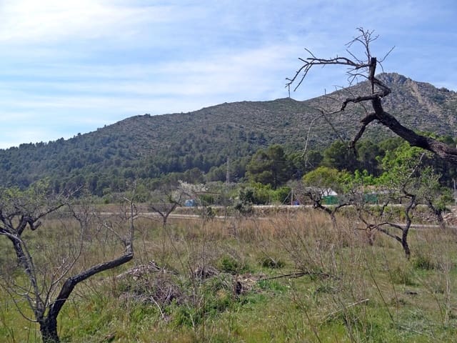 Solar/Parcela en Murla en venta - 100.000 € (Ref: 10157896)