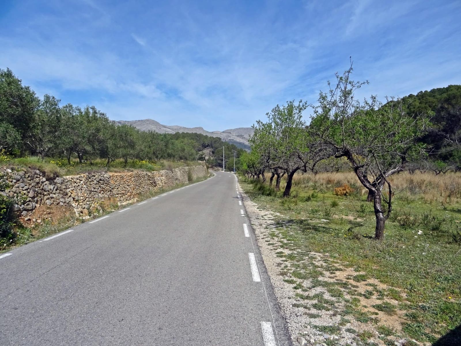 Area Edificabile in vendita in Murla - 100.000 € (Rif: 10157896)