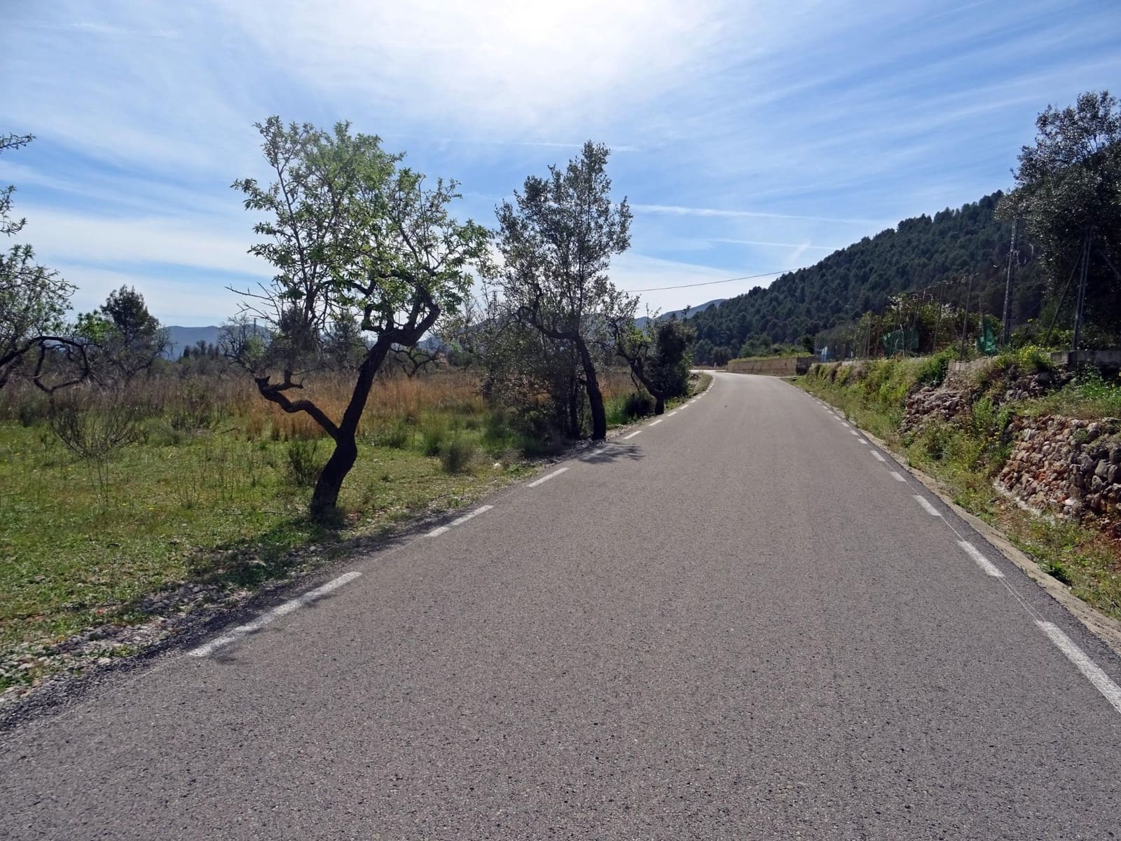 Area Edificabile in vendita in Murla - 100.000 € (Rif: 10157896)