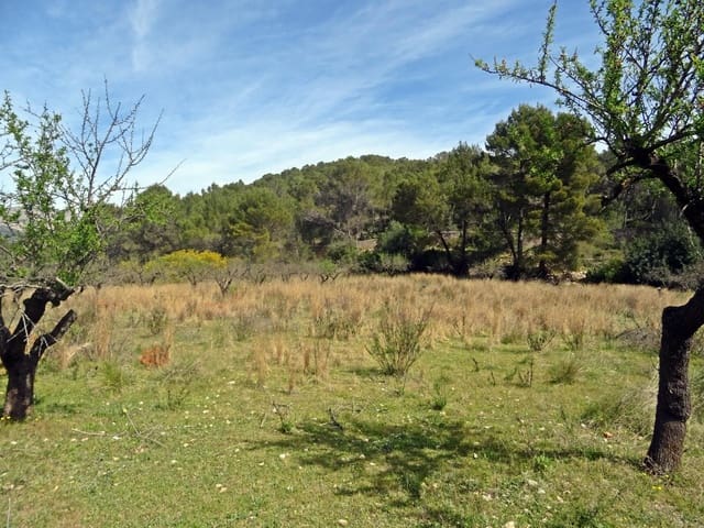 Solar/Parcela en Murla en venta - 100.000 € (Ref: 10157896)