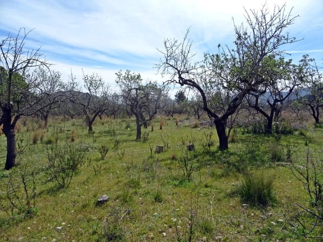 Solar/Parcela en Murla en venta - 100.000 € (Ref: 10157896)