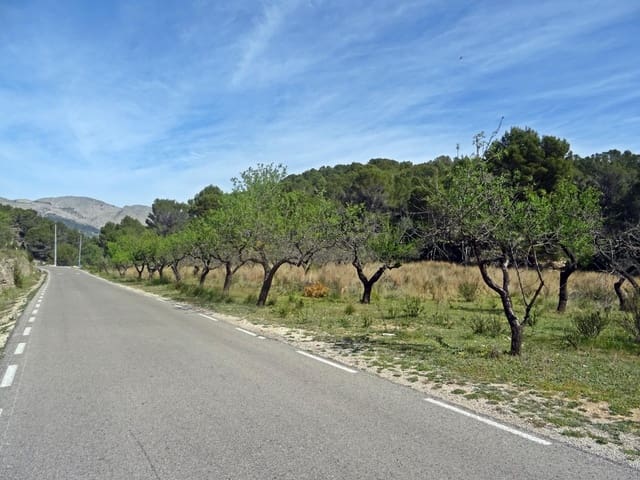 Solar/Parcela en Murla en venta - 100.000 € (Ref: 10157896)