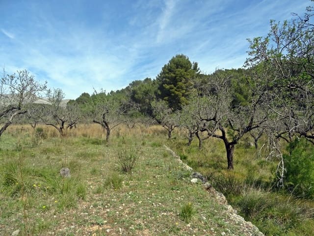 Solar/Parcela en Murla en venta - 100.000 € (Ref: 10157896)