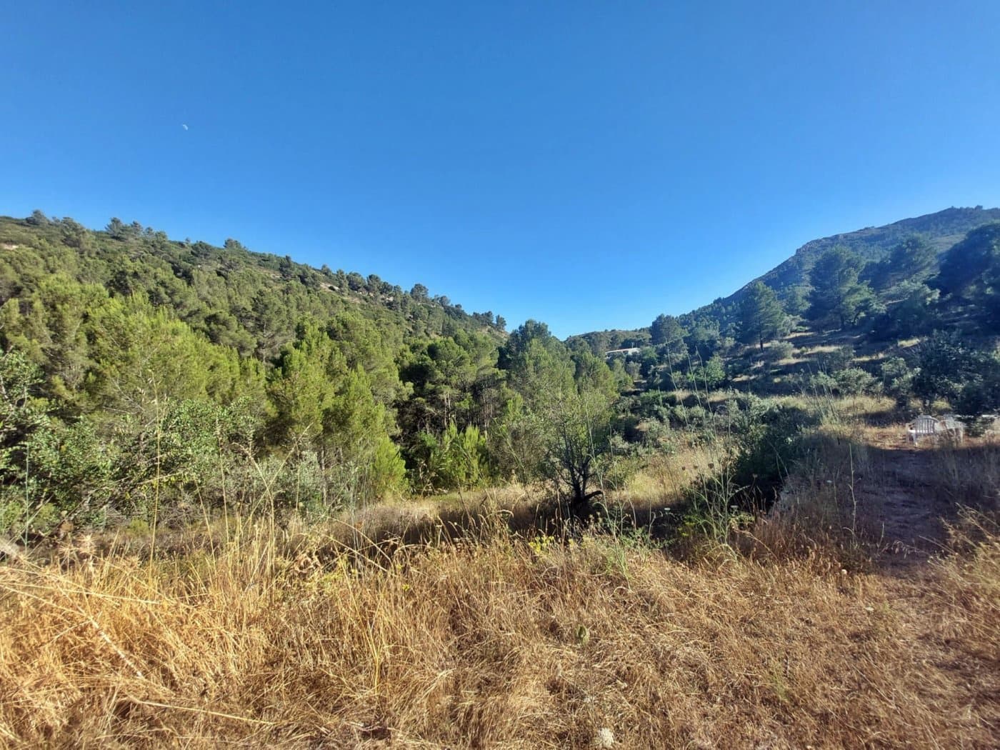 1 bedroom Finca/Country House for sale in Jalon / Xalo - € 149,000 (Ref: 10157897)