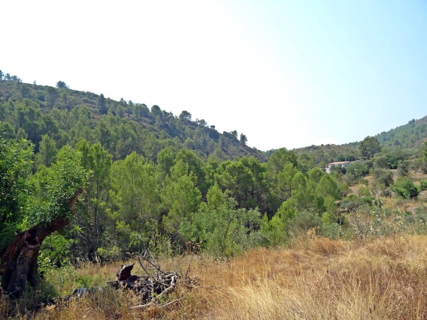 1 bedroom Finca/Country House for sale in Jalon / Xalo - € 149,000 (Ref: 10157897)