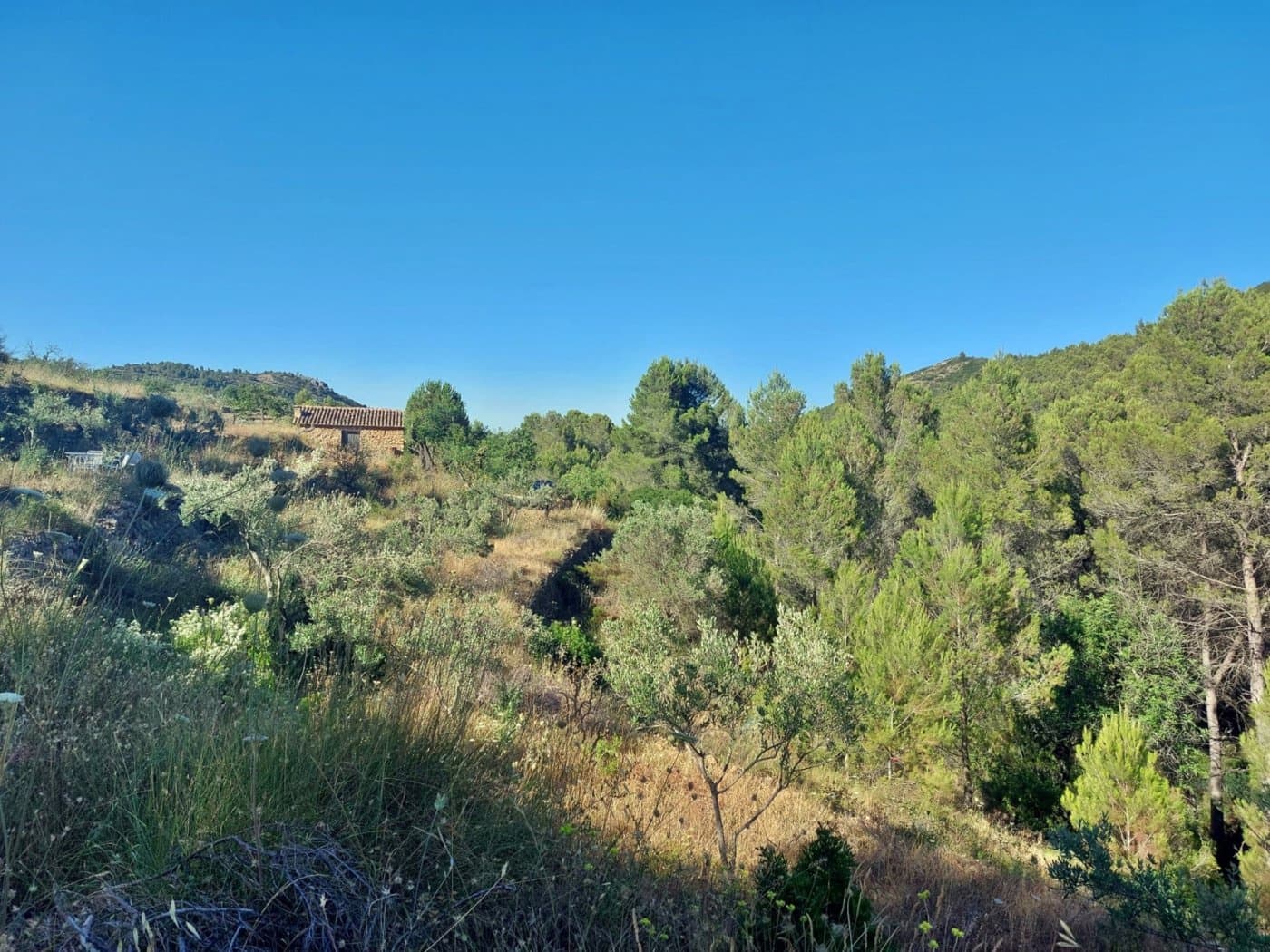 1 bedroom Finca/Country House for sale in Jalon / Xalo - € 149,000 (Ref: 10157897)