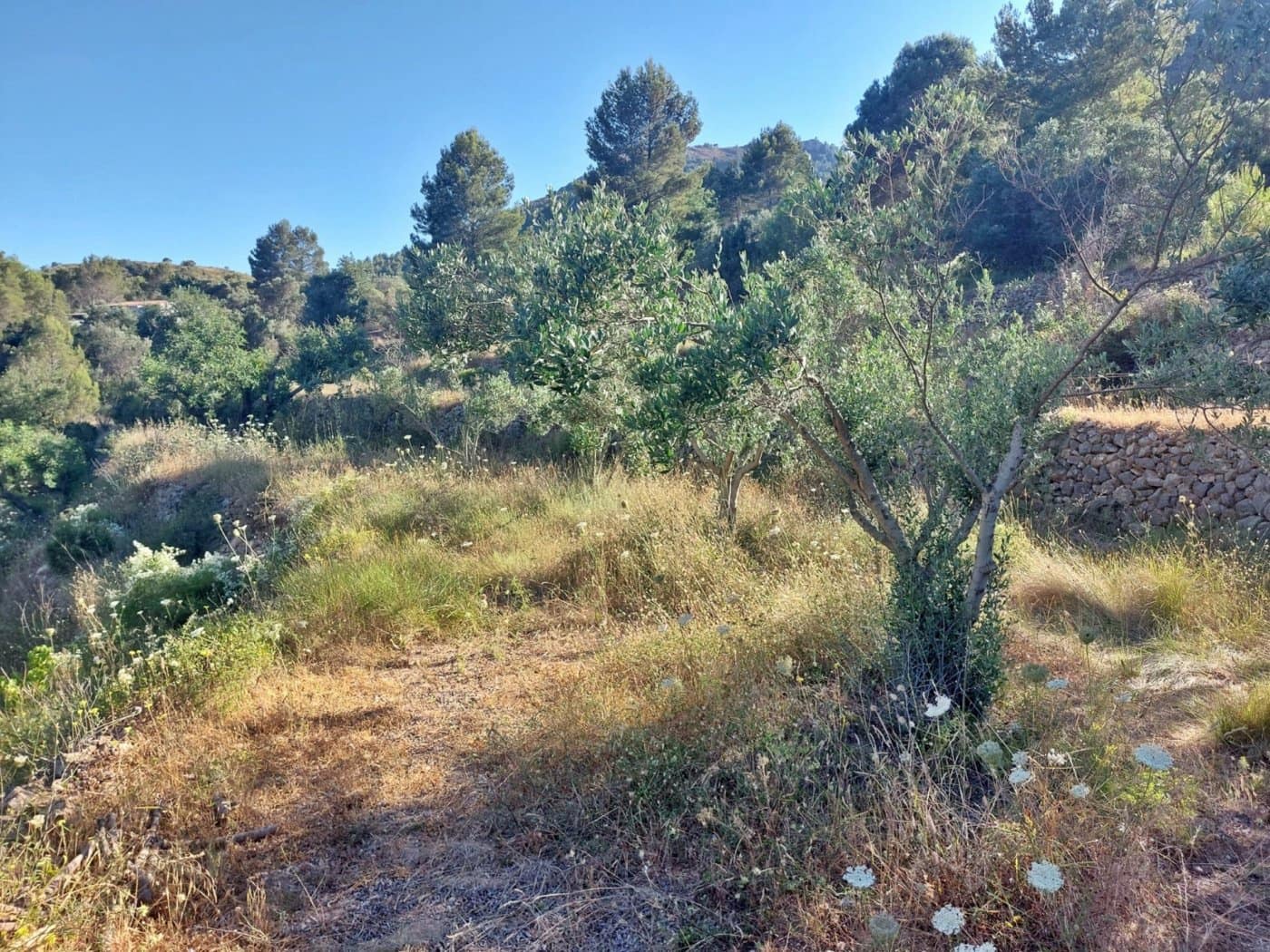 1 bedroom Finca/Country House for sale in Jalon / Xalo - € 149,000 (Ref: 10157897)