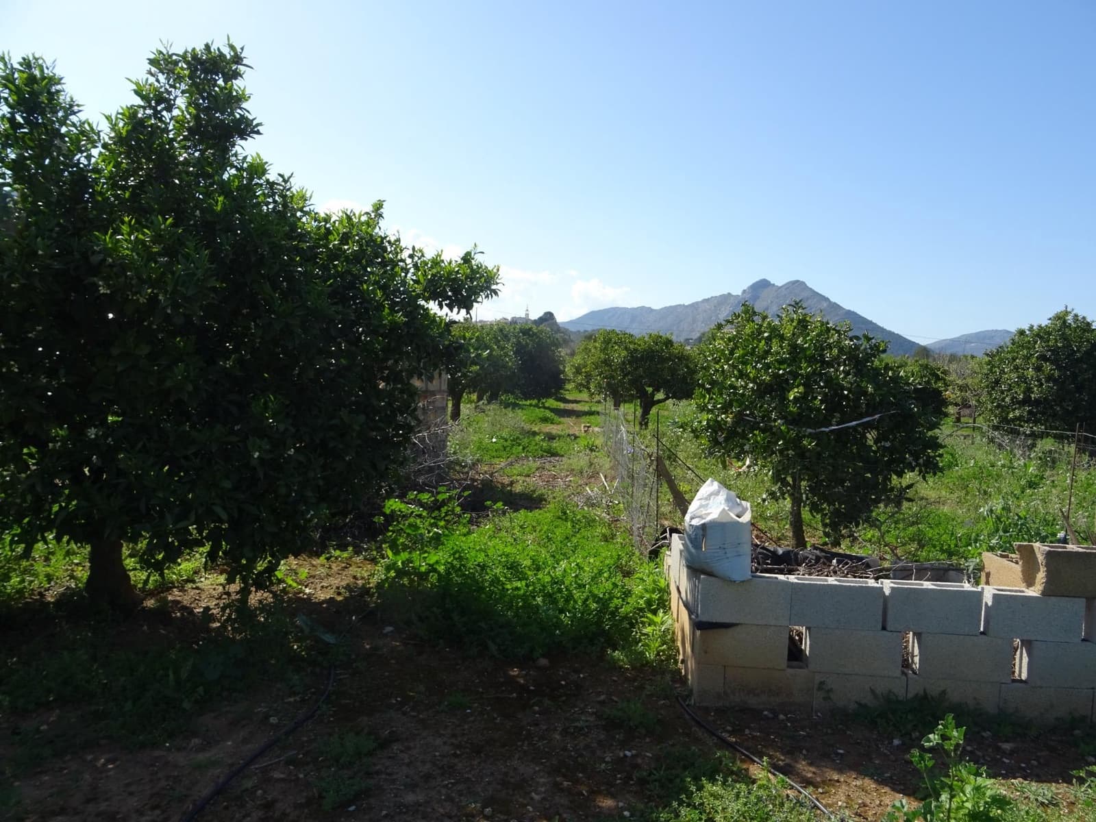 Area Edificabile in vendita in Alcalali / Alcanali - 55.000 € (Rif: 10157898)