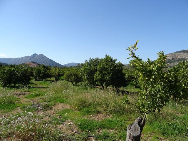 Bouwgrond te koop in Alcalalí / Alcanalí - € 55.000 (Ref: 10157898)