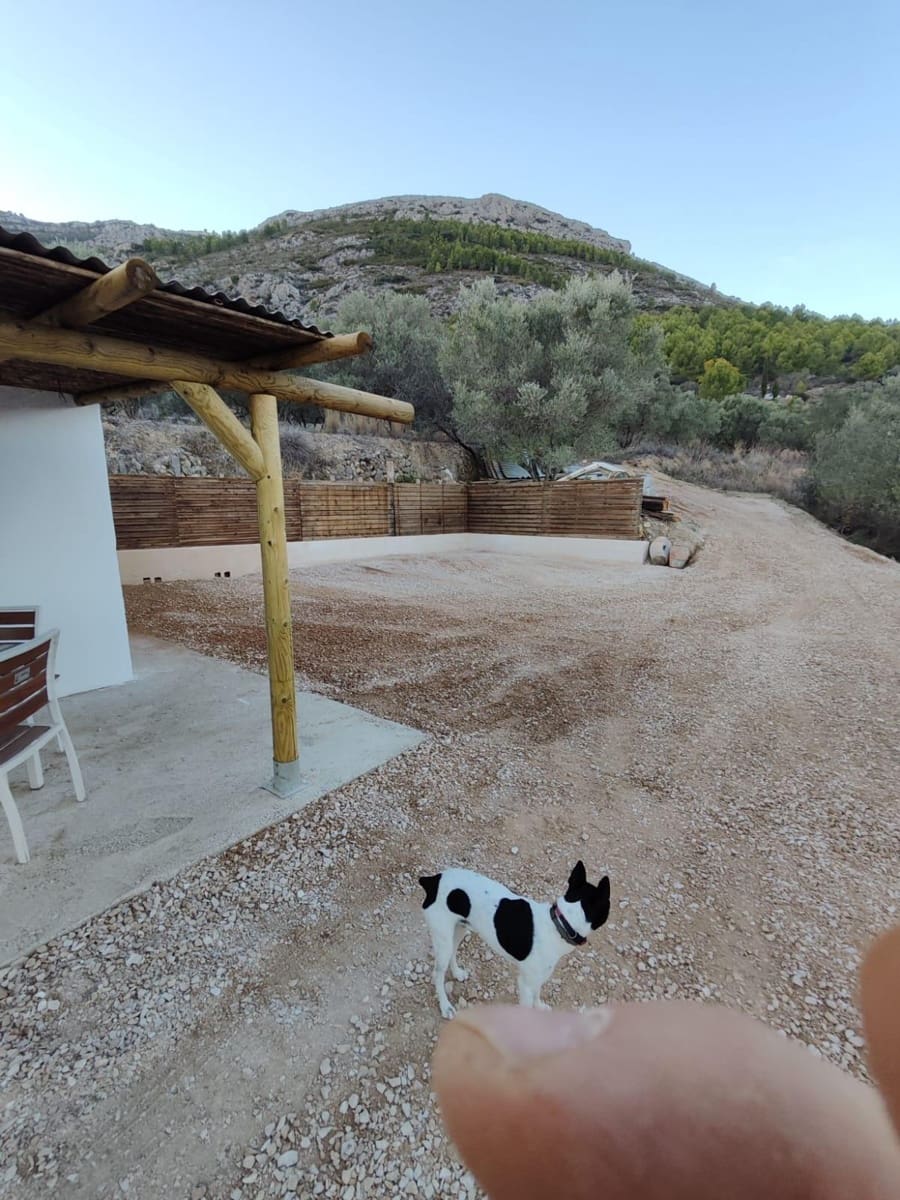 1 bedroom Finca/Country House for sale in Jalon / Xalo - € 87,000 (Ref: 10157900)