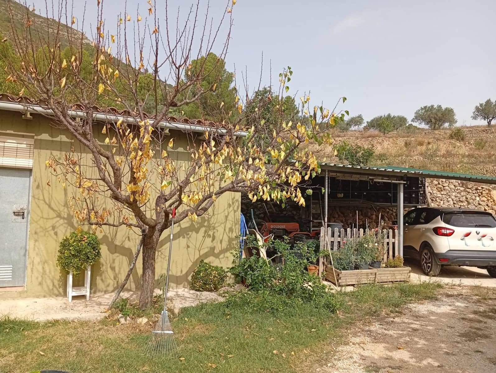 2 bedroom Finca/Country House for sale in Jalon / Xalo - € 263,000 (Ref: 10157901)