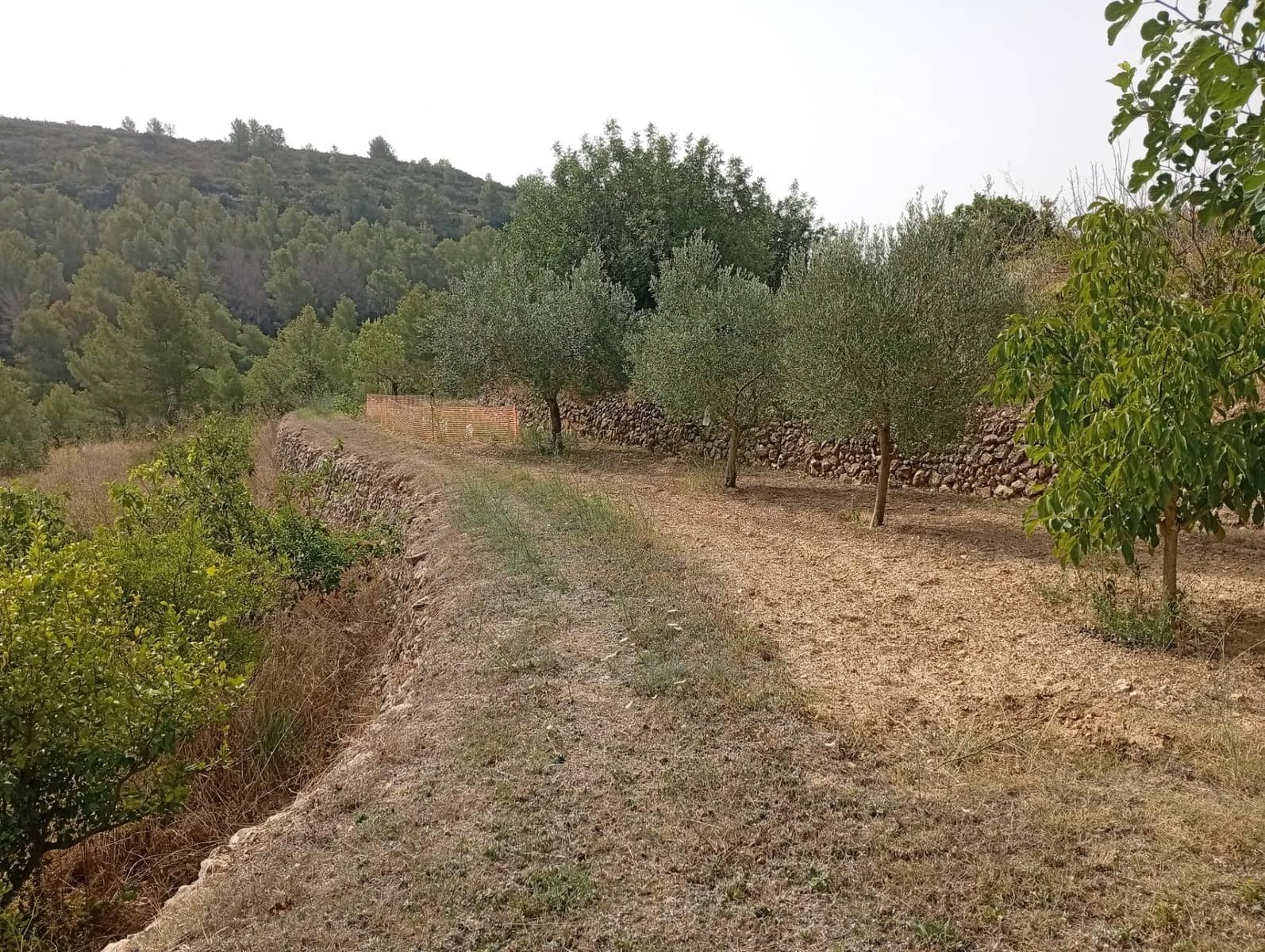 2 bedroom Finca/Country House for sale in Jalon / Xalo - € 263,000 (Ref: 10157901)