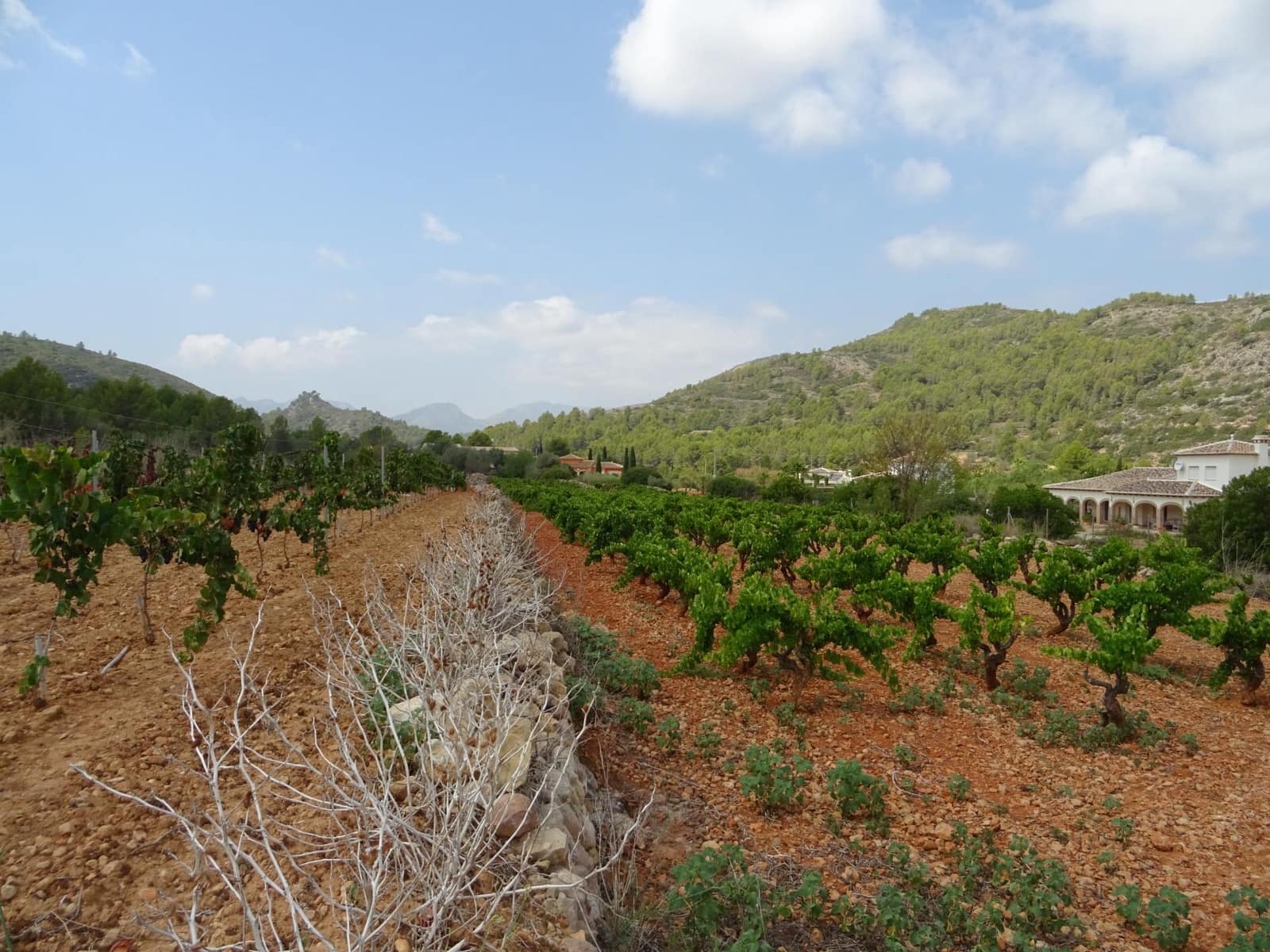 Terrain à Bâtir à vendre à Lliber - 150 000 € (Ref: 10157902)