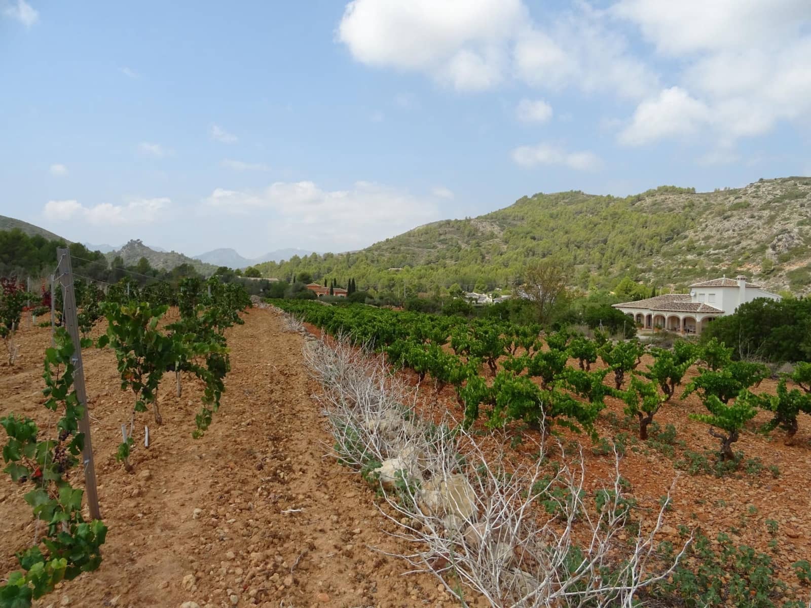 Terrain à Bâtir à vendre à Lliber - 150 000 € (Ref: 10157902)