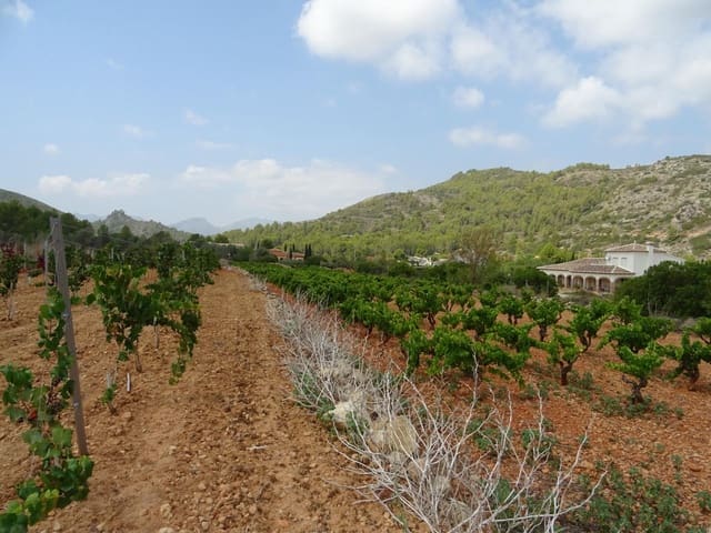 Terrain à Bâtir à vendre à Llíber - 150 000 € (Ref: 10157902)