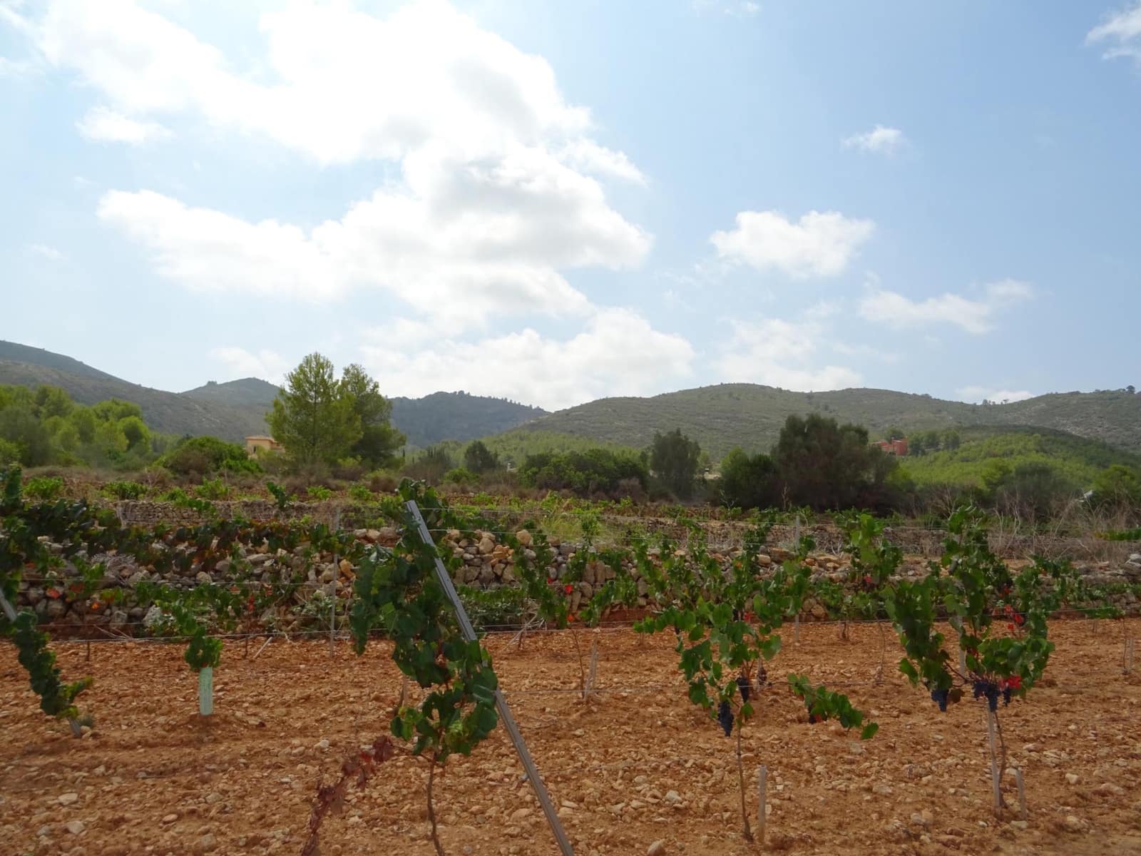 Terrain à Bâtir à vendre à Lliber - 150 000 € (Ref: 10157902)