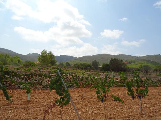 Terrain à Bâtir à vendre à Llíber - 150 000 € (Ref: 10157902)