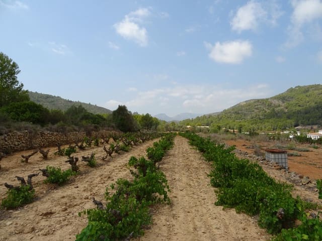 Terrain à Bâtir à vendre à Llíber - 150 000 € (Ref: 10157902)