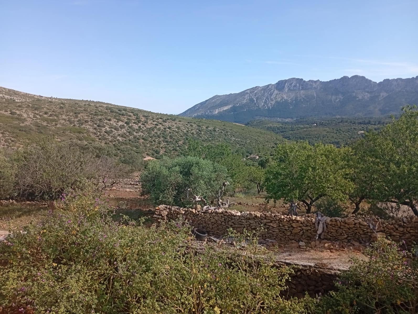 4 bedroom Finca/Country House for sale in Lliber with garage - € 275,000 (Ref: 10157905)