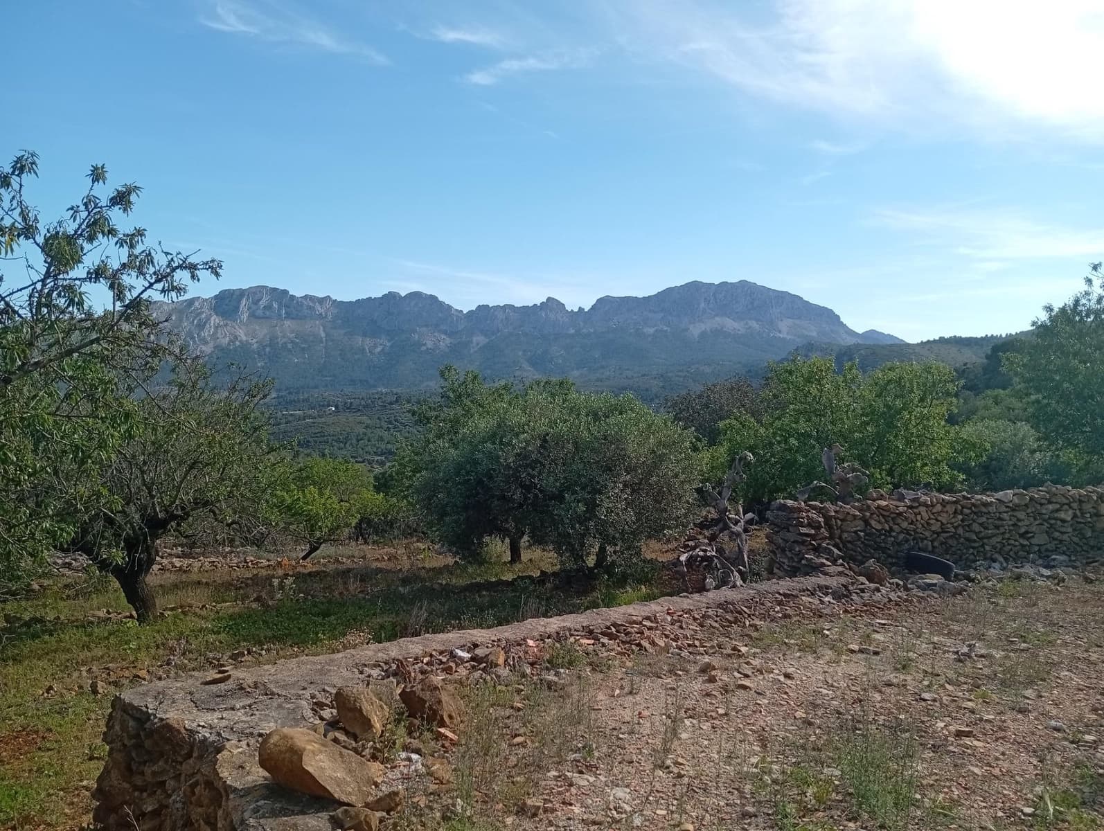 4 bedroom Finca/Country House for sale in Lliber with garage - € 275,000 (Ref: 10157905)