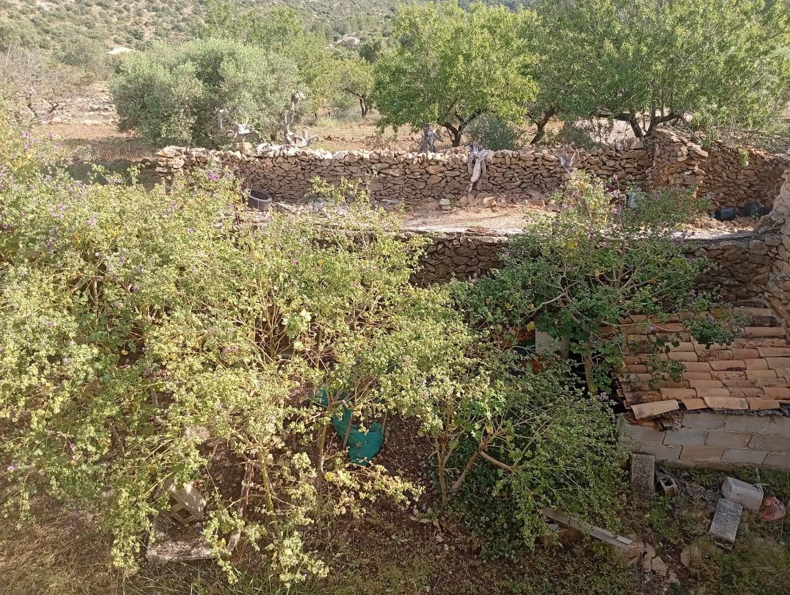 4 bedroom Finca/Country House for sale in Lliber with garage - € 275,000 (Ref: 10157905)