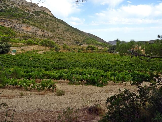Entreprise à vendre à Jalón / Xaló - 360 000 € (Ref: 10157908)
