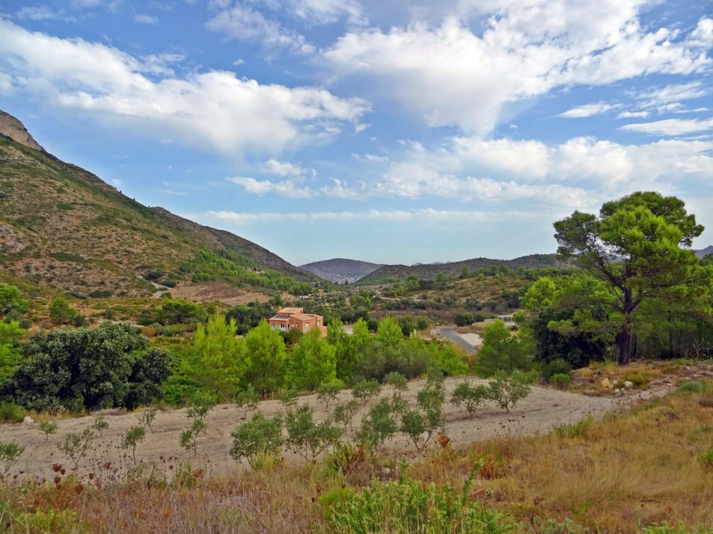 Virksomhed til salg i Jalon / Xalo - € 360.000 (Ref: 10157908)