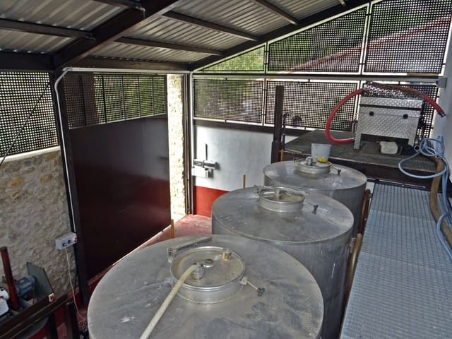 Entreprise à vendre à Jalón / Xaló - 360 000 € (Ref: 10157908)