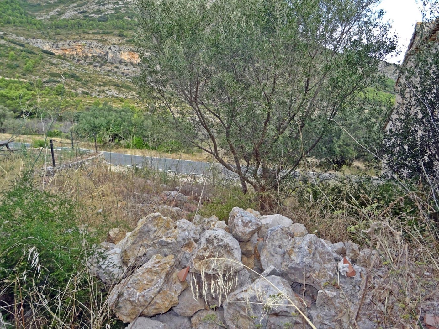 Virksomhed til salg i Jalon / Xalo - € 360.000 (Ref: 10157908)