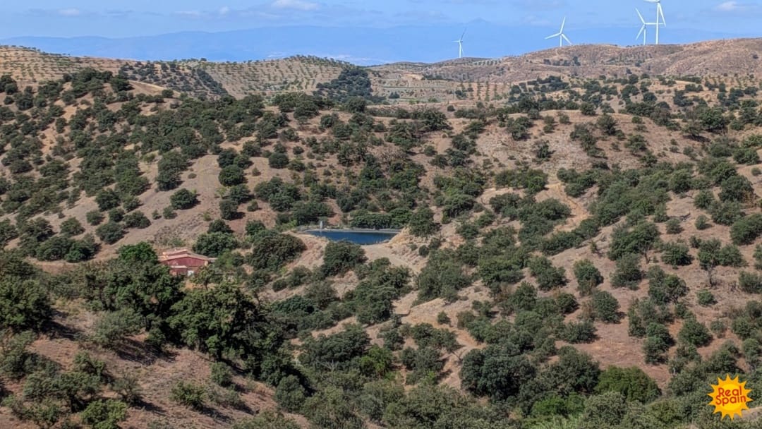 3 bedroom Finca/Country House for sale in Velez-Rubio - € 150,000 (Ref: 10027031)