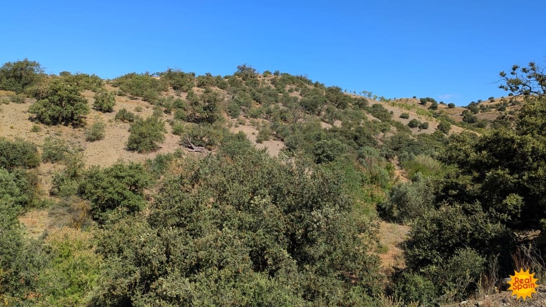 3 bedroom Finca/Country House for sale in Velez-Rubio - € 150,000 (Ref: 10027031)