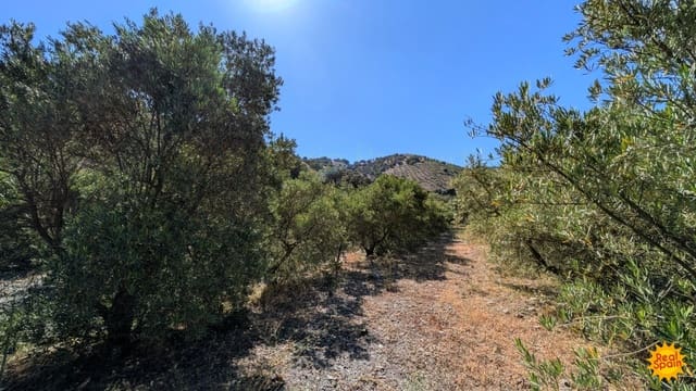 3 bedroom Finca/Country House for sale in Vélez-Rubio - € 150,000 (Ref: 10027031)