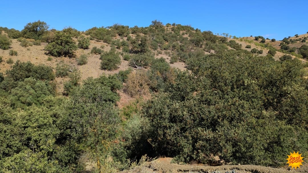 3 bedroom Finca/Country House for sale in Velez-Rubio - € 150,000 (Ref: 10027031)