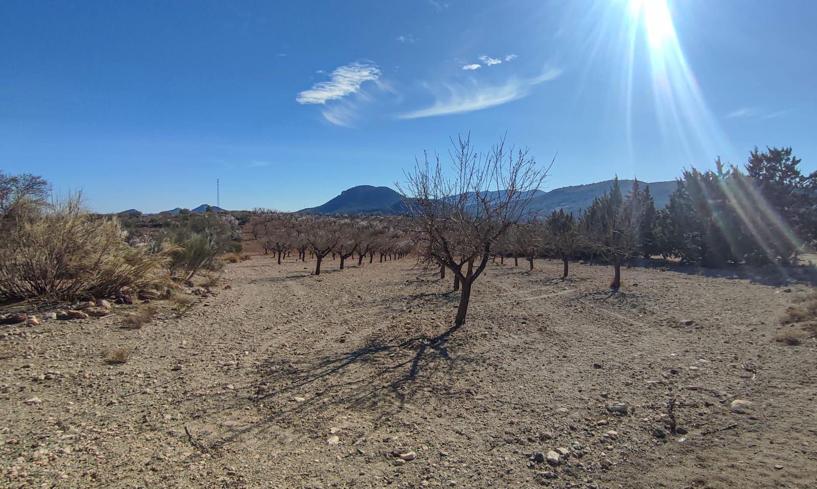 3 bedroom Villa for sale in Velez-Rubio - € 180,000 (Ref: 8417192)