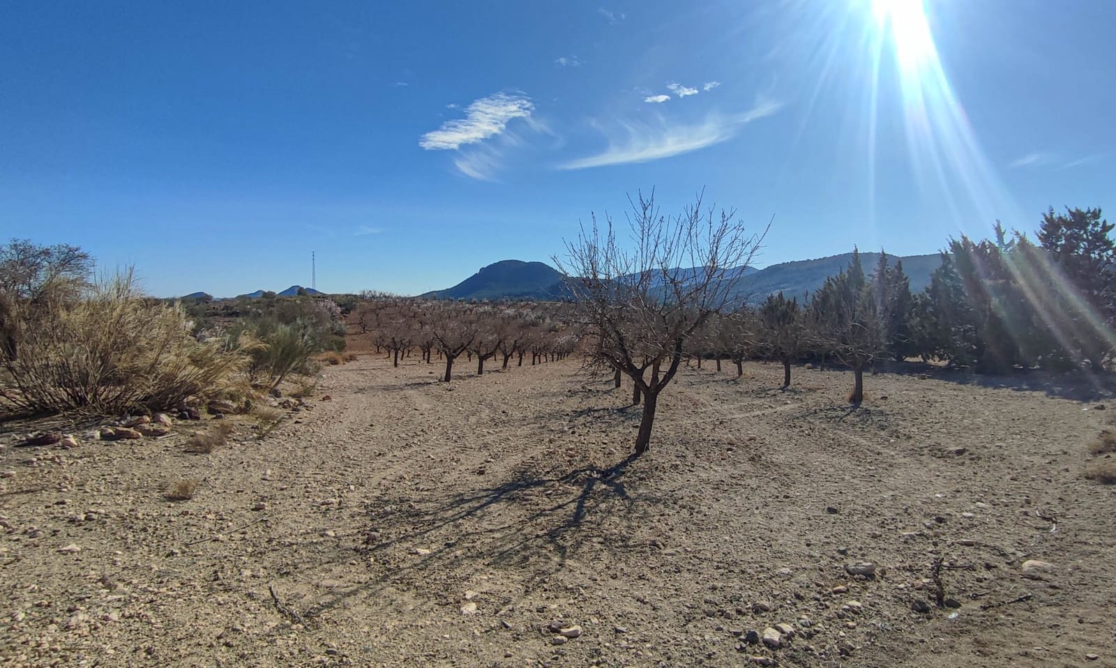 3 bedroom Villa for sale in Velez-Rubio - € 180,000 (Ref: 8417192)