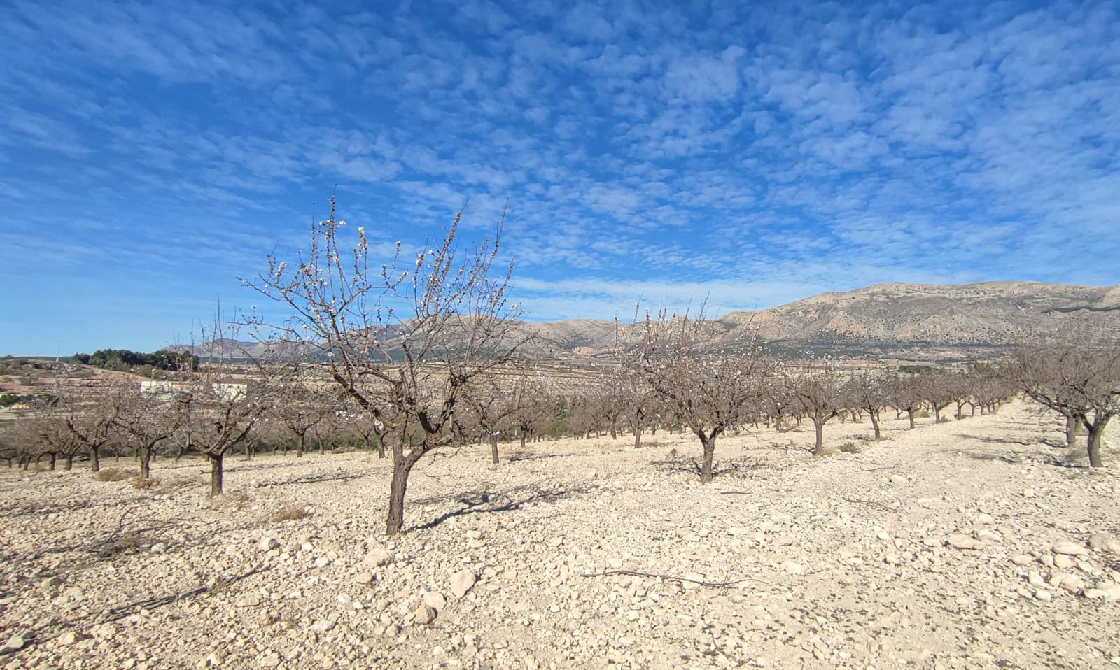 3 bedroom Villa for sale in Velez-Rubio - € 180,000 (Ref: 8417192)