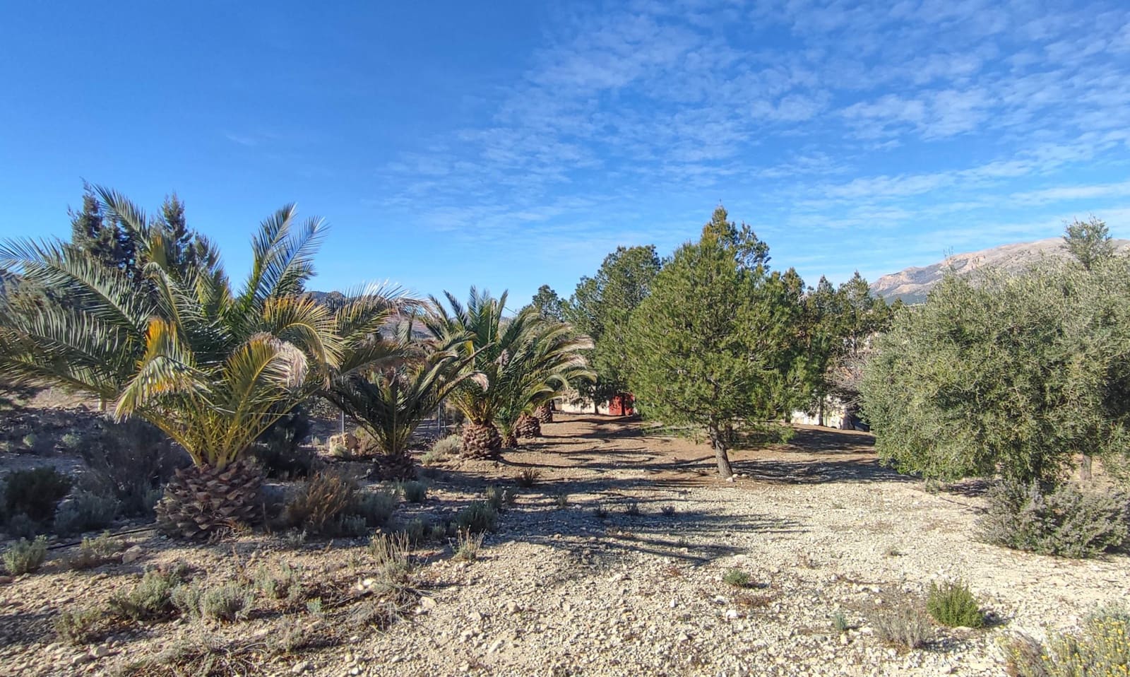 3 bedroom Villa for sale in Velez-Rubio - € 180,000 (Ref: 8417192)