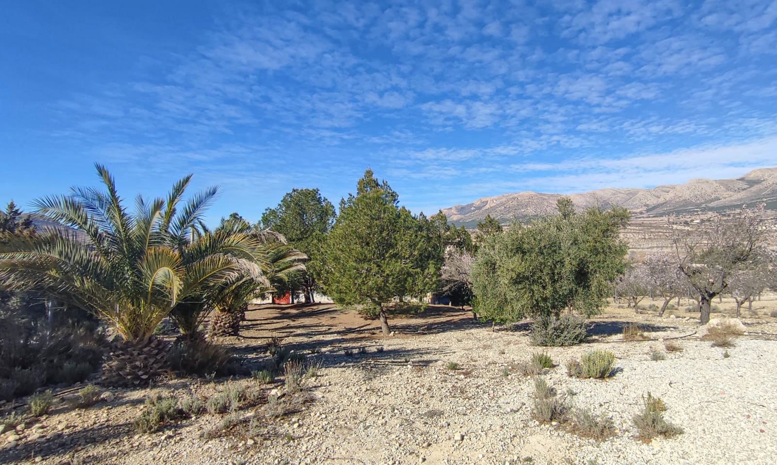 3 bedroom Villa for sale in Velez-Rubio - € 180,000 (Ref: 8417192)