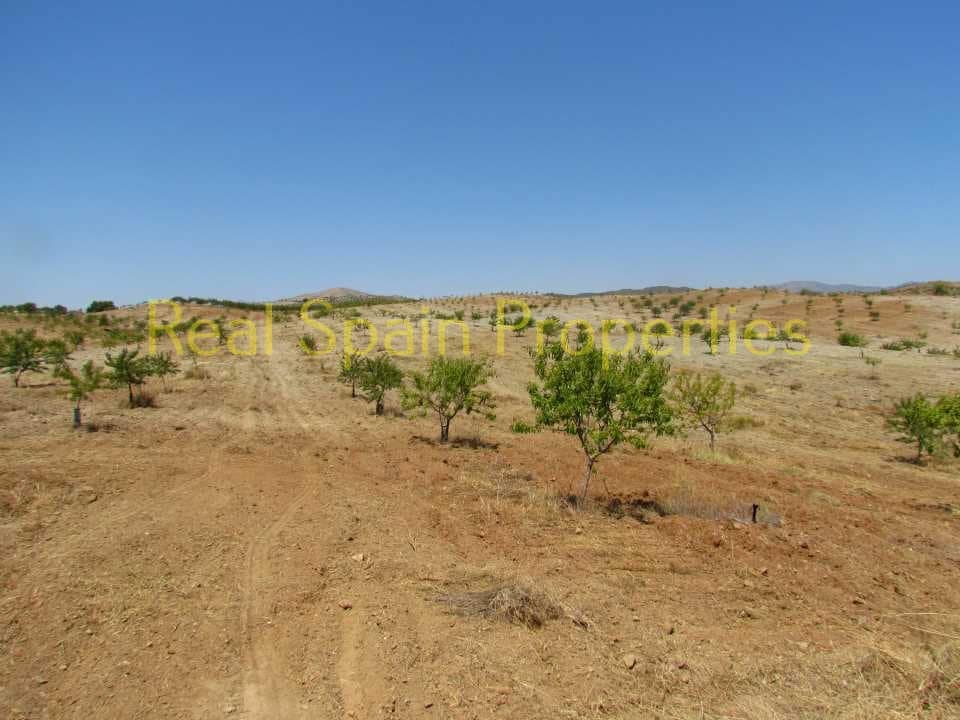 3 sovrum Finca/Hus på landet till salu i Velez-Rubio - 225 000 € (Ref: 8417195)