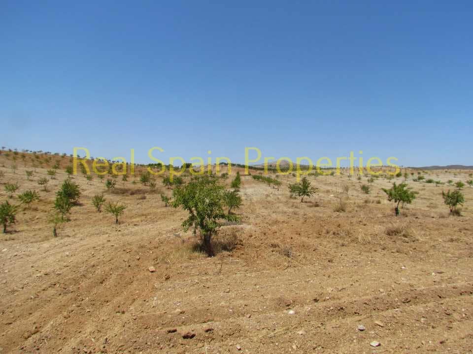 3 sovrum Finca/Hus på landet till salu i Velez-Rubio - 225 000 € (Ref: 8417195)